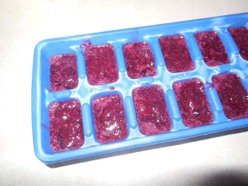 https://www.appliancesonline.com.au/academy/wp-content/uploads/2015/08/800px-Blueberry_and_Cherry_Baby_Food_Cubes.jpg