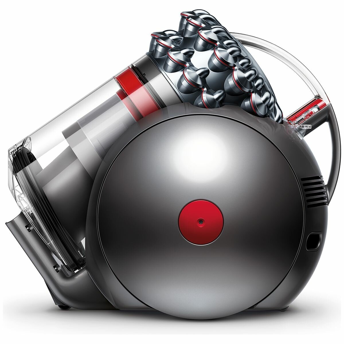 Dyson ball animal