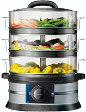 morphy richards stainless steel food steamer