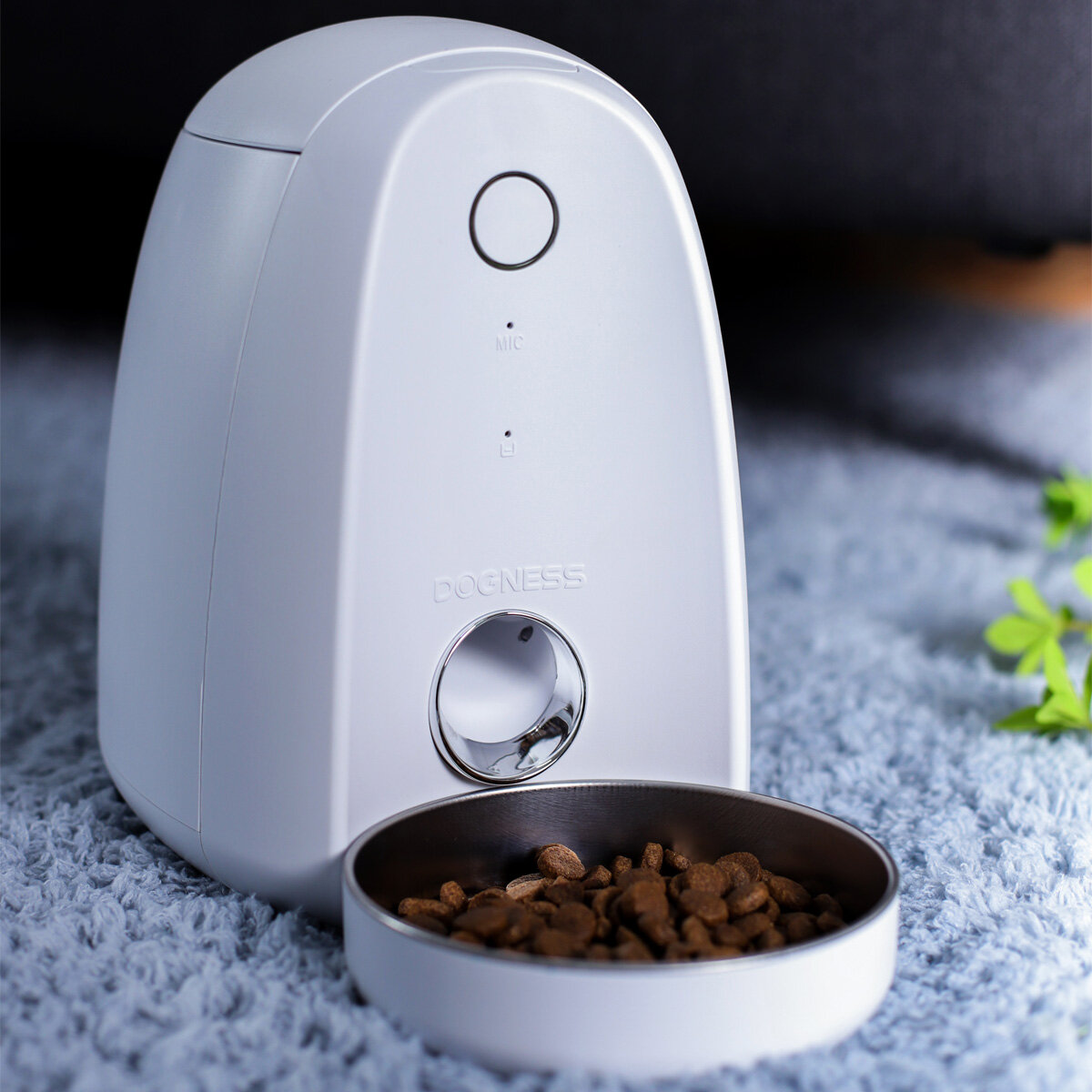 dogness smart feeder