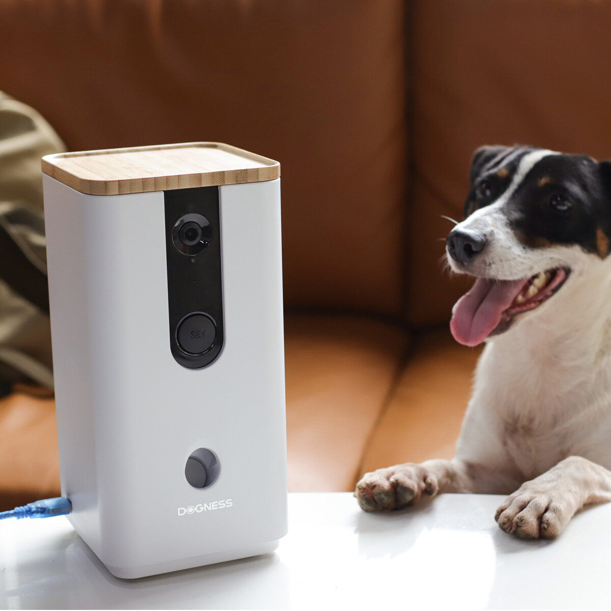 dogness smart camera treater