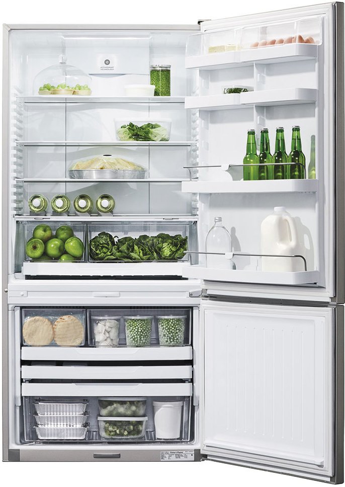 fisher and paykel fridge e522bre4