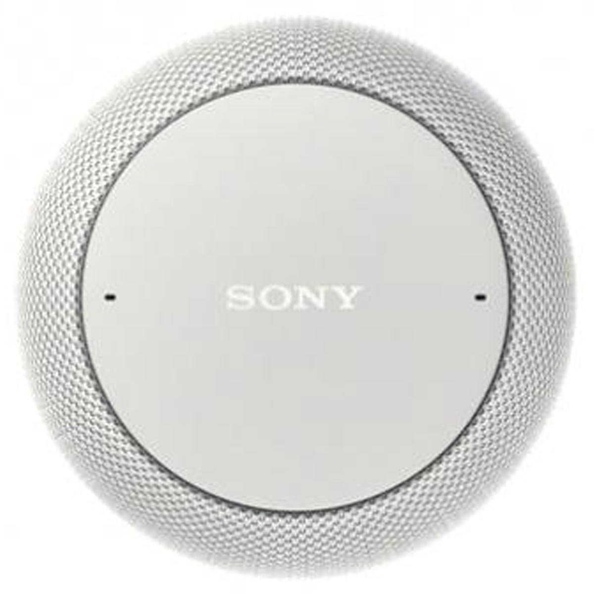 Sony In Ceiling Speakers