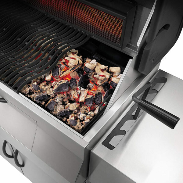 vriendelijke groet Mens Sada Napoleon PRO605CSS Professional Charcoal Fuel Freestanding BBQ | Appliances  Online
