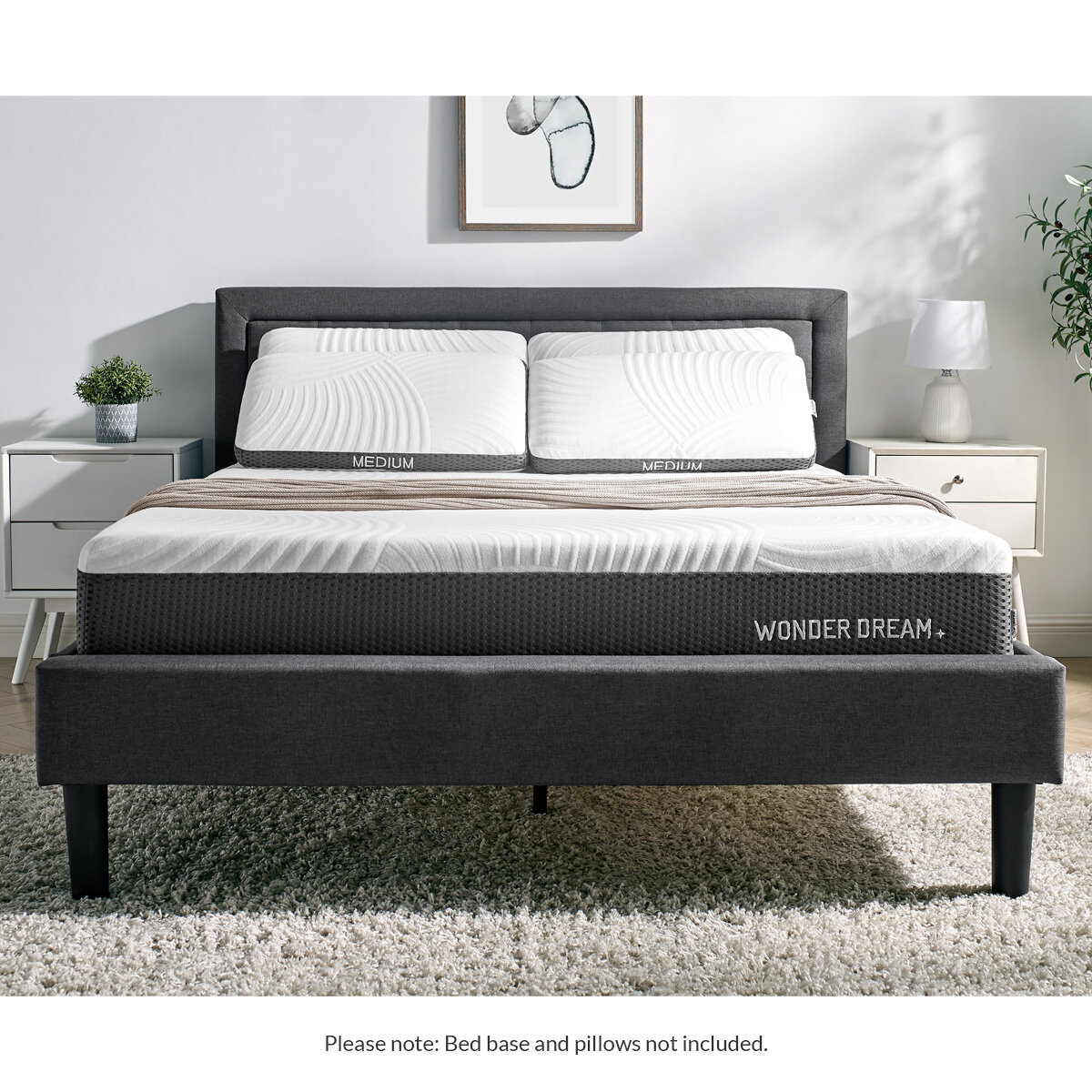 dream wonder queen mattress